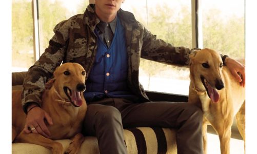 New Californians stanowi wyraz młodej i pozytywnej kultury Zachodniego Wybrzeża Stanów Zjednoczonych