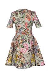 Sylwia Majdan Clemency motyle ty_