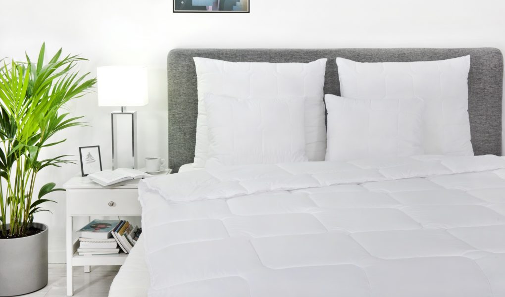 Chroń swoje łóżko przed niechcianymi gośćmi